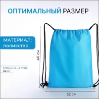 Мешок для обуви, отдел на шнурке, цвет голубой, «Ламы» Мешок для обуви, отдел на шнурке, цвет голубой, «Ламы»