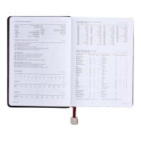 Ежедневник недатированный А5, 160 листов POLO NEW, твёрдая обложка, искусственная кожа, зелёный