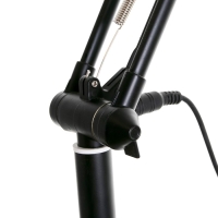 Торшер 19017/1BK LED 8Вт черный 28х28х180 см