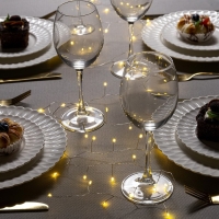 Гирлянда «Мишура» 2 м роса, IP20, серебристая нить, 50 LED, батарейки CR2032х2 (в комплекте), свечение тёплое белое Гирлянда «Мишура» 2 м роса, IP20, серебристая нить, 50 LED, батарейки CR2032х2 (в комплекте), свечение тёплое белое