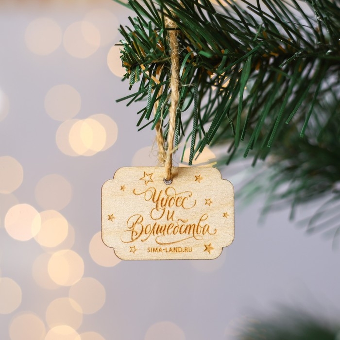 Ёлочные игрушки новогодние &laquo;Новый год: Чудес и волшебства&raquo;, набор 5 шт