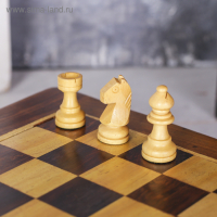 Шахматы магнитные 25,5х25,5х4 см, дерево шишам Шахматы магнитные 25,5х25,5х4 см, дерево шишам