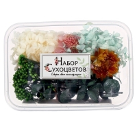 Набор для творчества &laquo;Набор сухоцветов&raquo;, большой, розовый, жёлтый, голубой, зелёный