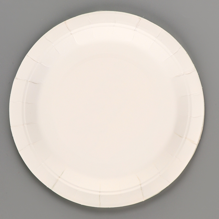 Тарелки бумажные &laquo;Светлой Пасхи&raquo; с зайкой, 6 шт.