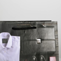 Пакет подарочный ламинированный, упаковка, «Стиль», MS 23 х 18 х 8 см Пакет подарочный ламинированный, упаковка, «Стиль», MS 23 х 18 х 8 см