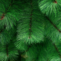 Кедр "Зелёный" металл подставка, 150 см d иголок 10 см d нижнего яруса 87 см 152 ветки Кедр "Зелёный" металл подставка, 150 см d иголок 10 см d нижнего яруса 87 см 152 ветки