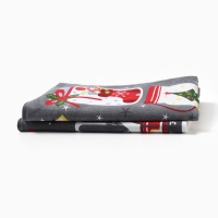 Набор кухонных полотенец Доляна &laquo;Волшебного года&raquo; 35х60см-2шт, 100% хл