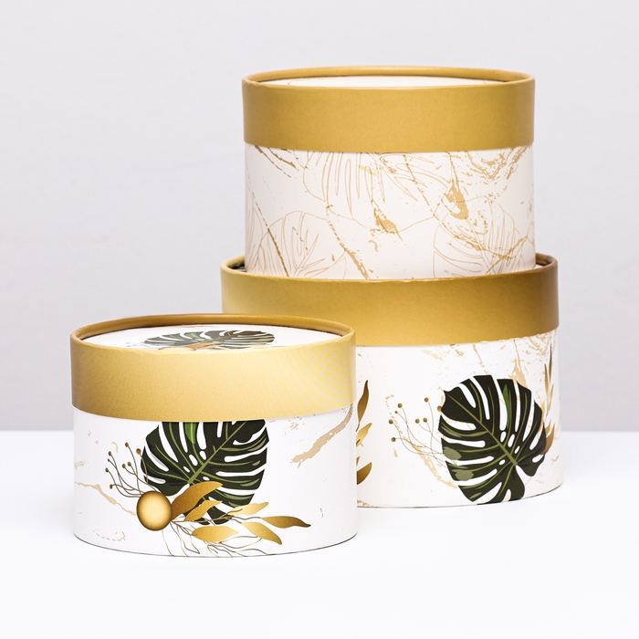 Набор шляпных коробок 3 в 1 Набор шляпных коробок 3 в 1 "Тропики" , завальцованная, 16 х 10, 14 х 9, 13 х 8,5 см