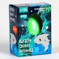 Растущие животные в яйце «Акула» МИКС Растущие животные в яйце «Акула» МИКС