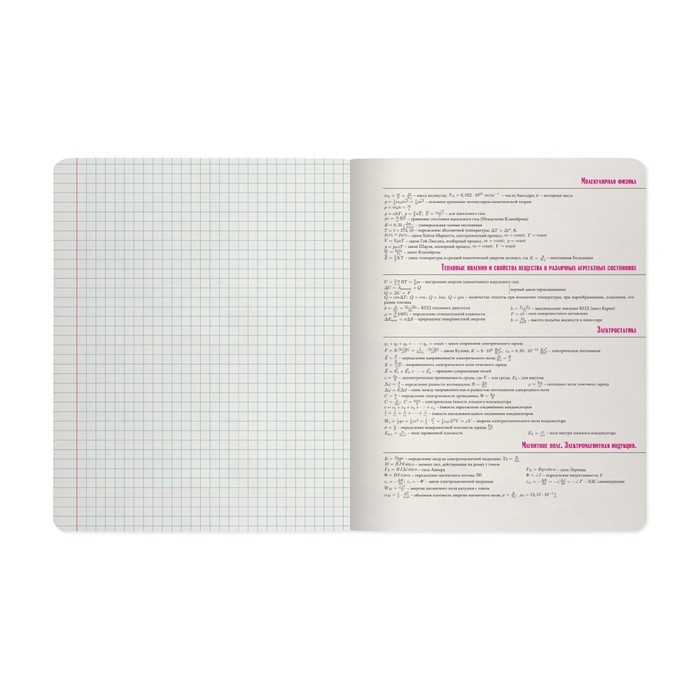 Тетрадь предметная "Зверобудни", 48 листов в клетку "Физика", обложка картон, ламинация SoftTouch