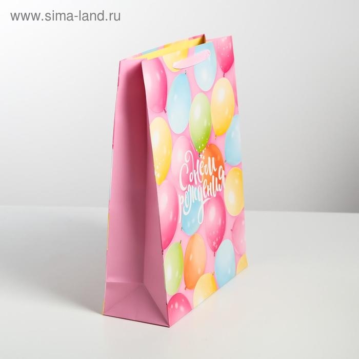 Пакет подарочный ламинированный вертикальный, упаковка, «С Днём Рождения!», L 31 х 40 х 11,5 см Пакет подарочный ламинированный вертикальный, упаковка, «С Днём Рождения!», L 31 х 40 х 11,5 см