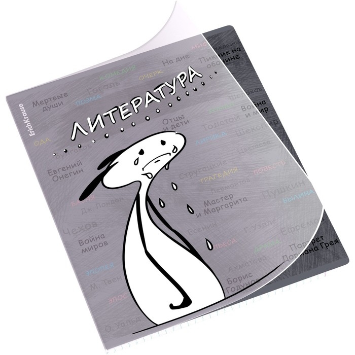 Тетрадь предметная ЛИТЕРАТУРА, 48 листов в линейку, ErichKrause Тетрадь предметная ЛИТЕРАТУРА, 48 листов в линейку, ErichKrause "Чубрик", пластиковая обложка, шелкография, блок офсет 100% белизна, инфо-блок