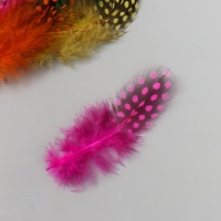 Перо декоративное фазана "Горошек" набор 15 шт h=8-13 см