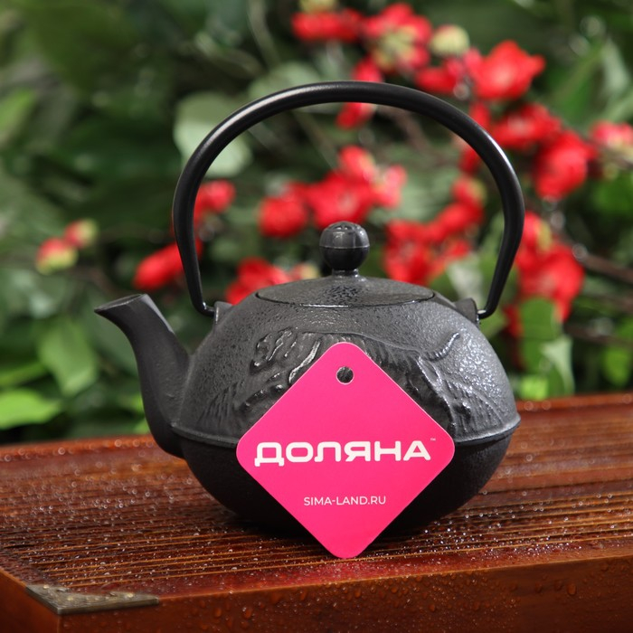Чайник для плиты Доляна &laquo;Чёрный тигр&raquo;, 700 мл, с ситом, чугун, эмалированное покрытие внутри, индукция, цвет чёрный