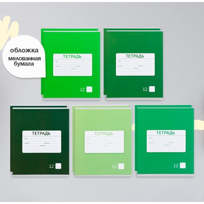 Комплект тетрадей из 10 штук, 12 листов в узкую линию Calligrata Комплект тетрадей из 10 штук, 12 листов в узкую линию Calligrata "Однотонная Новая школьная. Эконом", обложка мелованная бумага, ВД-лак, блок №2, белизна 75% (серые листы), 5 видов по 2 штуки