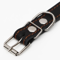 Ошейник кожаный однослойный, безразмерный, 56 х 2.5 см, ОШ 17-44 см, чёрный Ошейник кожаный однослойный, безразмерный, 56 х 2.5 см, ОШ 17-44 см, чёрный