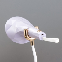 Настольная лампа "Делсер" LED 3Вт USB АКБ фиолетовый 14х13х39 см RISALUX Настольная лампа "Делсер" LED 3Вт USB АКБ фиолетовый 14х13х39 см RISALUX