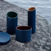 Шкатулка Form Fluid, горчичная