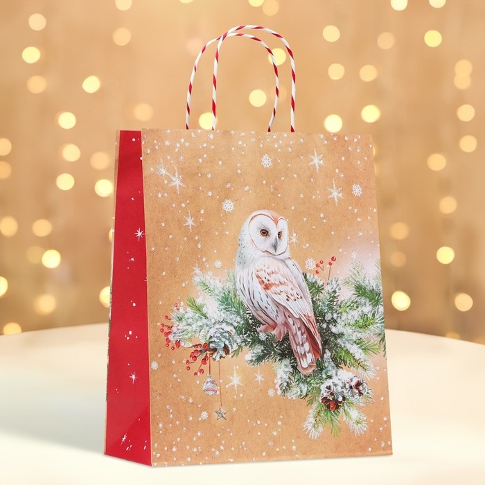 Новый год. Пакет бумажный подарочный новогодний крафт "Совушка" 26 х 32 х 12 см.