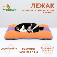 Матрас для животных, двухсторонний, 50 х 40 см, оранжевый/сиреневый Матрас для животных, двухсторонний, 50 х 40 см, оранжевый/сиреневый