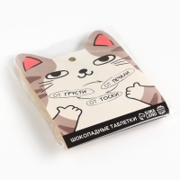 Шоколадные таблетки - дропсы &laquo;От грусти, печали, тоски&raquo;, 50 г.