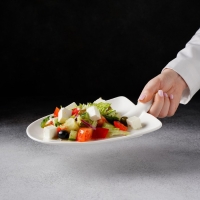 Блюдо фарфоровое Magistro &laquo;Бланш&raquo;, 24&times;18&times;4,5 см, цвет белый