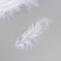 Перо декоративное гусиное пуховое "Белое" набор 40 шт h=10-15 см