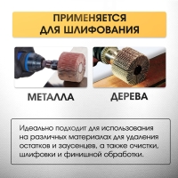 Круг лепестковый радиальный ТУНДРА, 60 х 30 х 6 мм, Р60 Круг лепестковый радиальный ТУНДРА, 60 х 30 х 6 мм, Р60