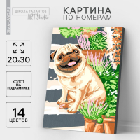 Картина по номерам на холсте с подрамником &laquo;Мопс&raquo; 20х30 см