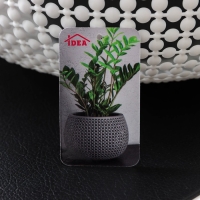 Кашпо для цветов со вставкой &laquo;Пирула&raquo;, d=29 см, 10,2 л, вставка 4 л, белое