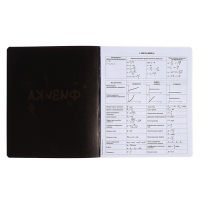 Тетрадь предметная ФИЗИКА, 48 листов в клетку, ErichKrause Inscription, обложка мелованный картон, твин-лак, блок офсет 100% белизна, инфо-блок Тетрадь предметная ФИЗИКА, 48 листов в клетку, ErichKrause Inscription, обложка мелованный картон, твин-лак, блок офсет 100% белизна, инфо-блок