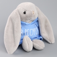 Мягкая игрушка Зая &laquo;В ресурсе&raquo;