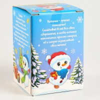 Копилка - раскраска на новый год &laquo;Снеговик с монетками&raquo;, набор для творчества