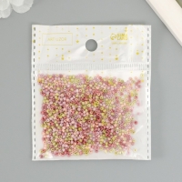 Бисер стекло 11/0 "Матовый. Меланж осень" 10 гр Бисер стекло 11/0 "Матовый. Меланж осень" 10 гр