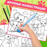 Раскраски для малышей набор «Животные», с карандашами 6 цветов, 2 шт. по 16 стр. Раскраски для малышей набор «Животные», с карандашами 6 цветов, 2 шт. по 16 стр.