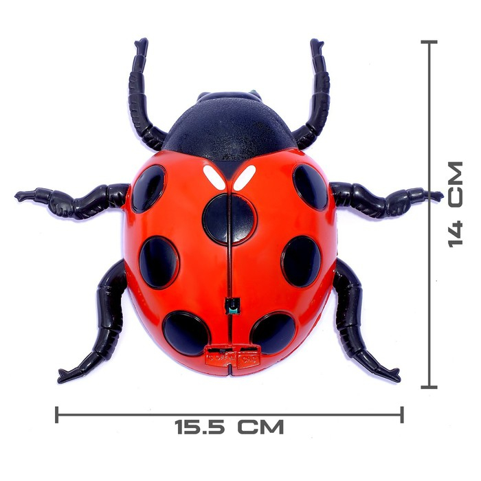 Жук на радиоуправлении «Божья коровка», ползает по стене Жук на радиоуправлении «Божья коровка», ползает по стене