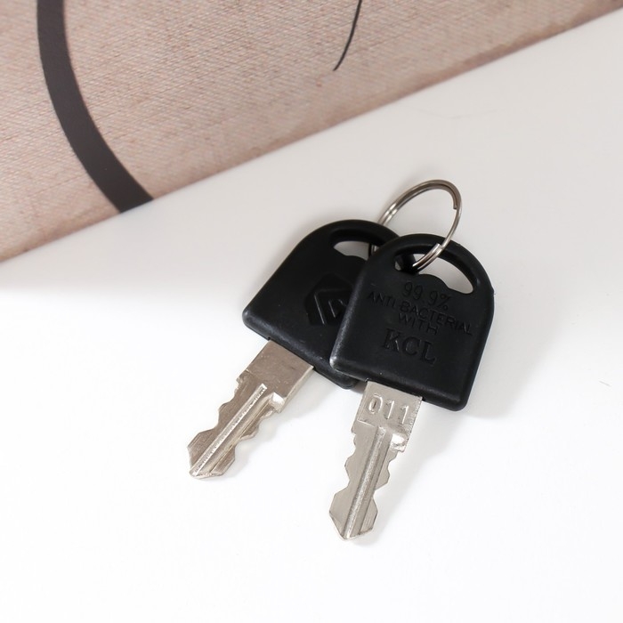 Сейф-книга дерево кожзам Сейф-книга дерево кожзам "Одуванчик" 21х13х5 см