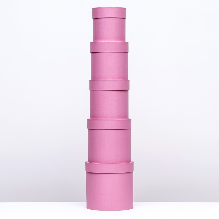 Набор шляпных коробок 5в1, розовый, 20 х 20 - 13 х 13 см Набор шляпных коробок 5в1, розовый, 20 х 20 - 13 х 13 см