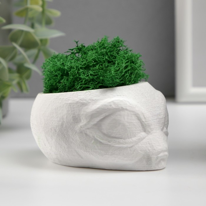 Кашпо бетонное "Пришелец" высота 5 см, диаметр 6 см белый со мхом (мох зелен. стабилизир)