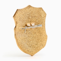 Значок "Дружинник" Значок "Дружинник"