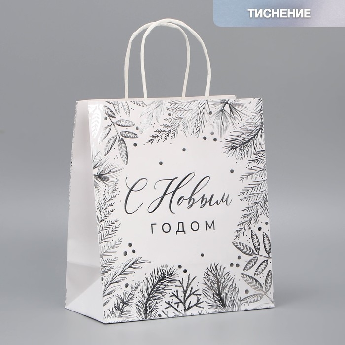 Пакет подарочный новогодний крафтовый &laquo;Серебро&raquo;, 22 х 25 х 12 см, Новый год