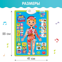 Обучающий плакат «Изучаем анатомию: Моё тело» Обучающий плакат «Изучаем анатомию: Моё тело»