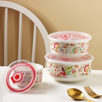 Набор салатников керамических с вакуумными крышками &laquo;Ирена&raquo;, 3 предмета: 300 мл, 600 мл, 900 мл