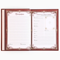 Родословная книга новогодним пояском &laquo;Новый год: Дед мороз&raquo;, 16,5 х 24 см.