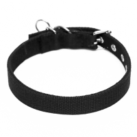 Ошейник двухслойный с вертлюгом, 55 х 2,5 см, полиэстер, черный Ошейник двухслойный с вертлюгом, 55 х 2,5 см, полиэстер, черный