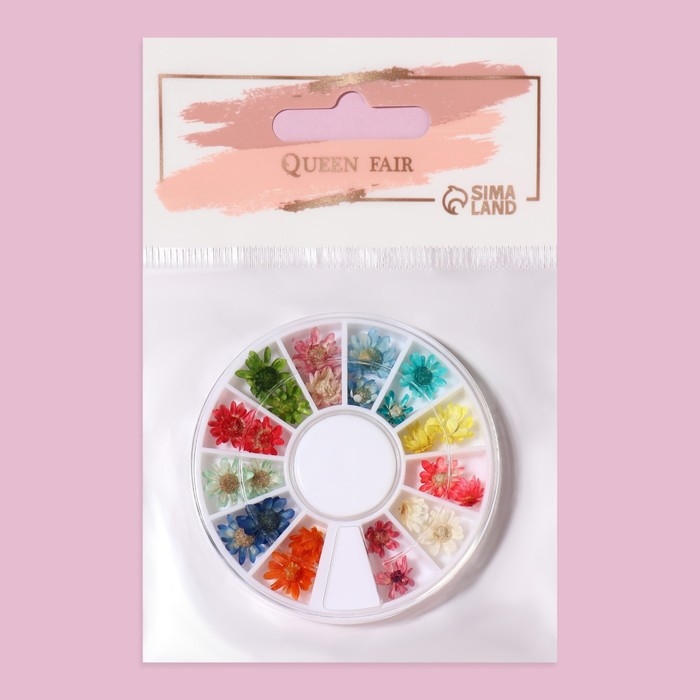 Сухоцветы для декора ногтей &laquo;Ромашки&raquo;, объёмные, 12 видов, в футляре, разноцветные