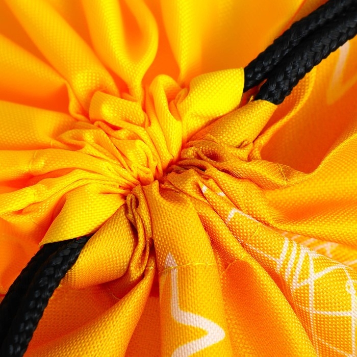 Мешок для обуви &laquo;Учусь на 5!&raquo; 2 секции, 30 х 40 см