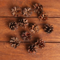 Новогодний декор &laquo;Набор натуральных шишек&raquo; 12 шт.