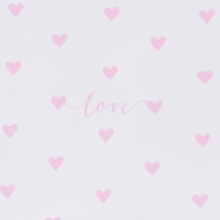 Плёнка для цветов глянцевая &laquo;Сердца&raquo;, 0,6 х 8 м