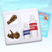 Игровой набор &laquo;Эпоха динозавров&raquo;, 2 артефакта, с эпоксидной смолой